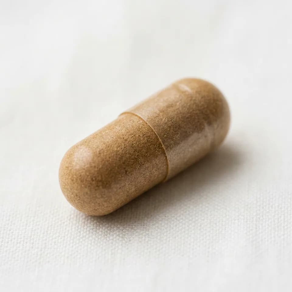 Ginger Extract